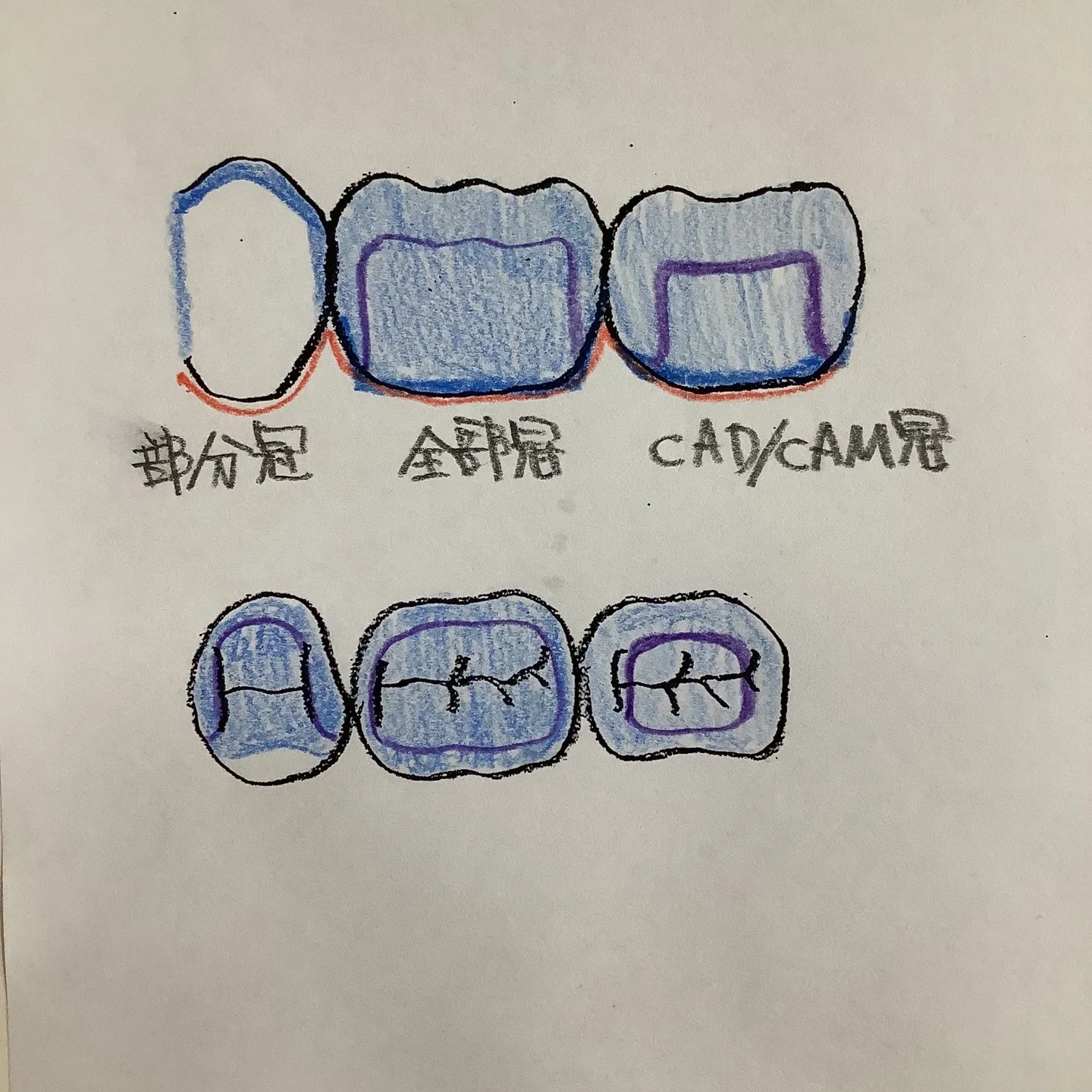 こんにちは、やまもと歯科医院です。