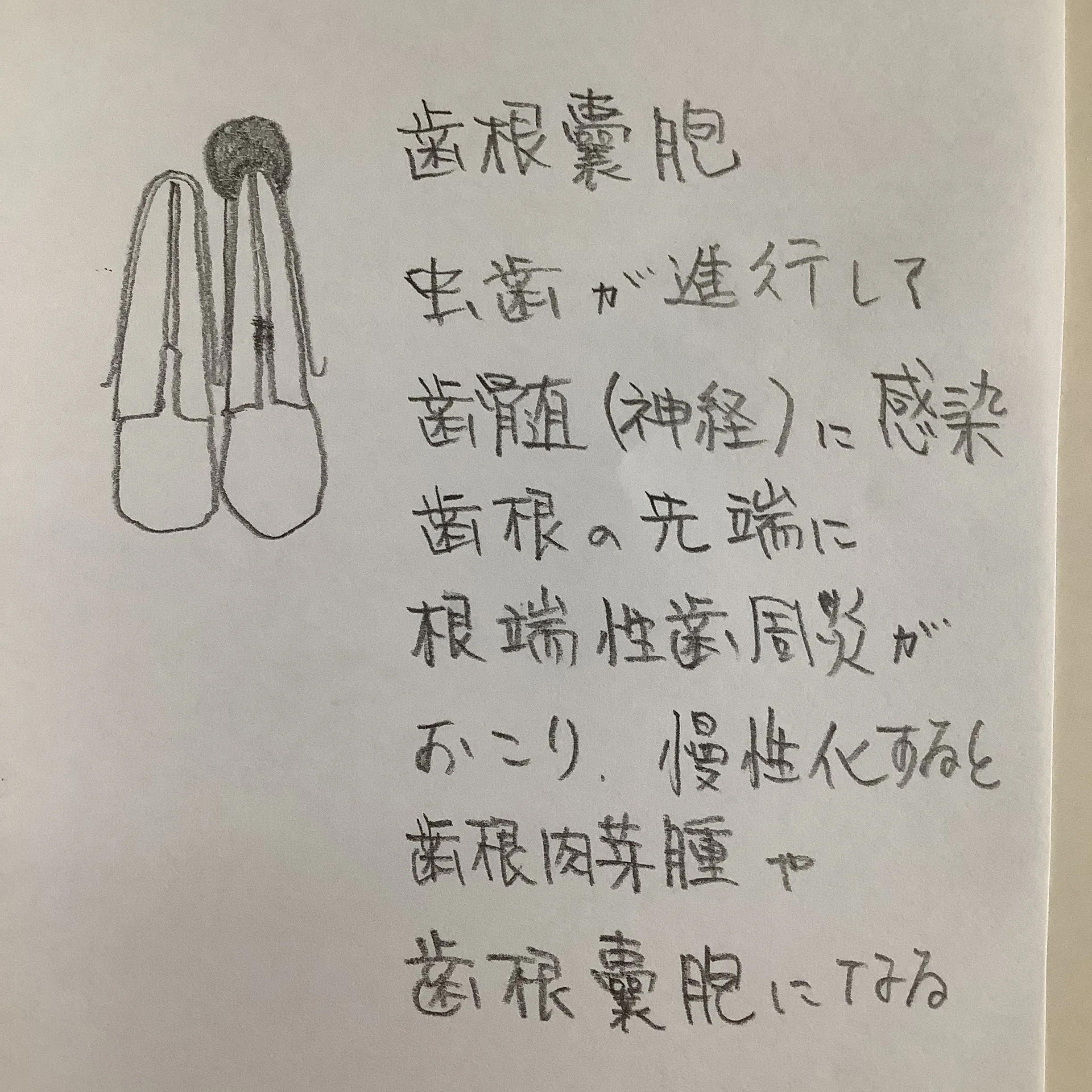 こんにちは。