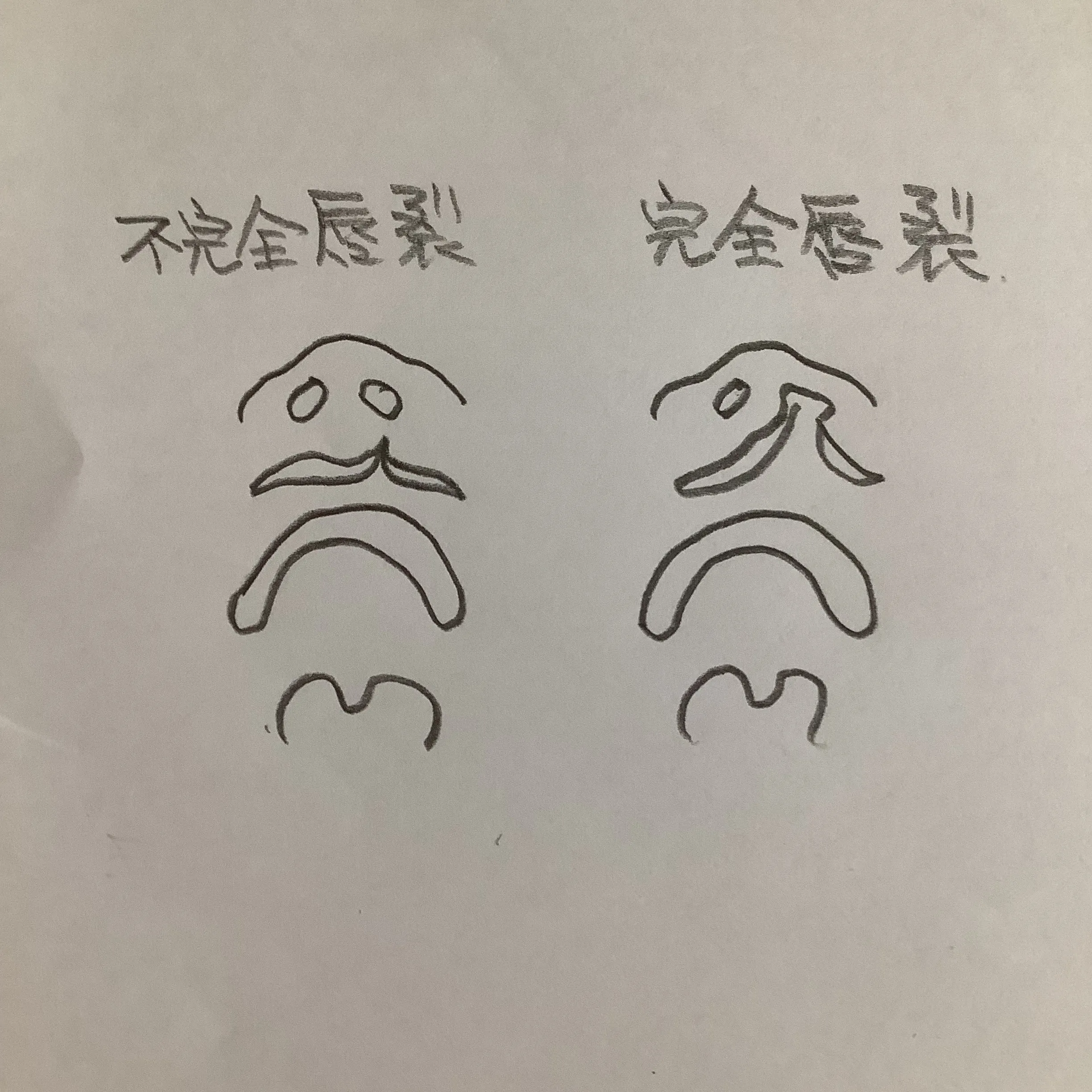 こんにちは。