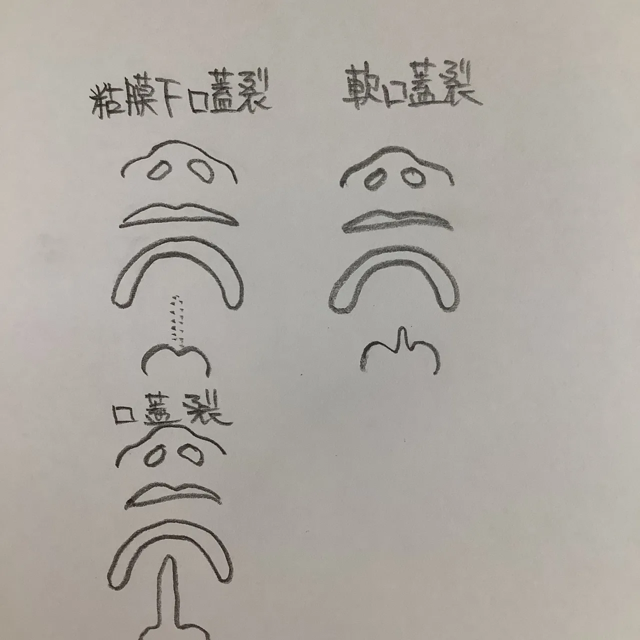 こんにちは。